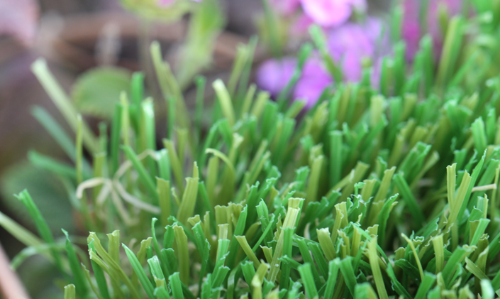 Artificial Grass Walden 60 AllGreen Grass