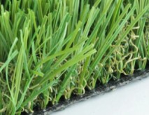 Sahara Synthetic Grass