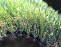 Artificial Grass St. Augustine 60 | Fake Grass