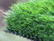 Greenest Synthetic Turf