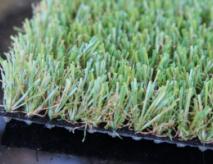 Artificial Turf Grass Safe