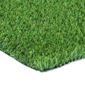Sport Green