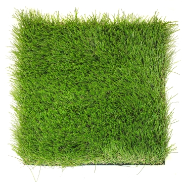 Super Soft Olive