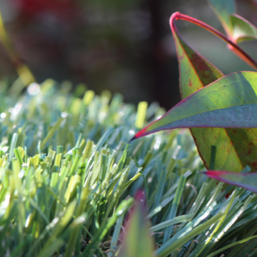 Real Grass Plush