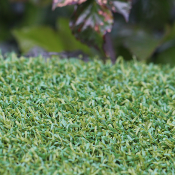 Two Tone Putt