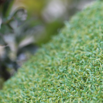 Two Tone Putt